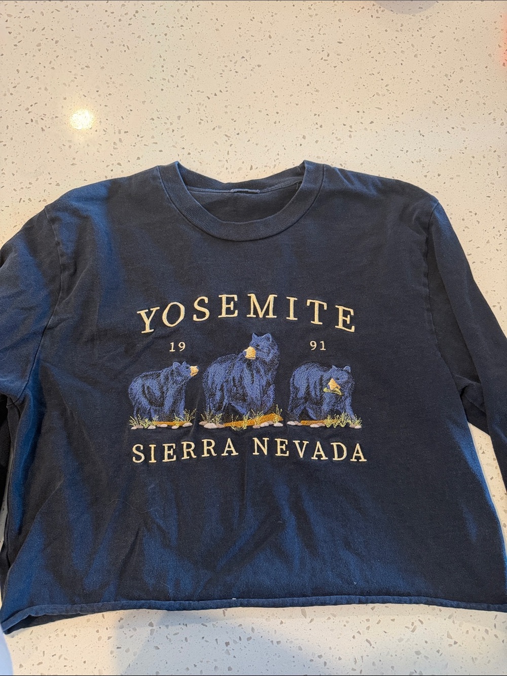 Brandy Melville Navy Long Sleeve Graphic Tee